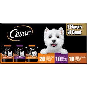 Cesar Variety Pack Filet Mignon, Rotisserie Chicken, & Wood-Grilled Chicken Flavor Filets in Gravy Wet Dog Food, 1.76-oz pouch, case of 40