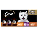 Cesar Variety Pack Filet Mignon, Rotisserie Chicken, & Wood-Grilled Chicken Flavor Filets in Gravy Wet Dog Food, 1.76-oz pouch, case of 40