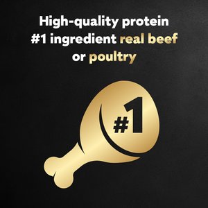 Cesar Classic Loaf in Sauce Variety Pack Grain-Free Small Breed Adult Wet Dog Food Trays, 3.5-oz, case of 36