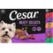 Show in main carousel: Cesar Classic Loaf in Sauce Variety Pack Grain-Free Small Breed Adult Wet Dog Food Trays, 3.5-oz, case of 36 slide 3 of 10