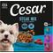 Show in main carousel: Cesar Filets in Gravy Beef Flavors Variety Pack Small Breed Adult Wet Dog Food, 3.5-oz tray, case of 24 slide 3 of 11