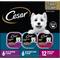 Show in main carousel: Cesar Filets in Gravy Beef Flavors Variety Pack Small Breed Adult Wet Dog Food, 3.5-oz tray, case of 24 slide 1 of 11