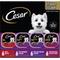 Show in main carousel: Cesar Classic Loaf in Sauce Beef Recipe, Filet Mignon, Grilled Chicken & Porterhouse Steak Flavors Variety Pack Grain-Free Small Breed Adult Wet Dog Food Trays, 3.5-oz, case of 24 slide 1 of 11