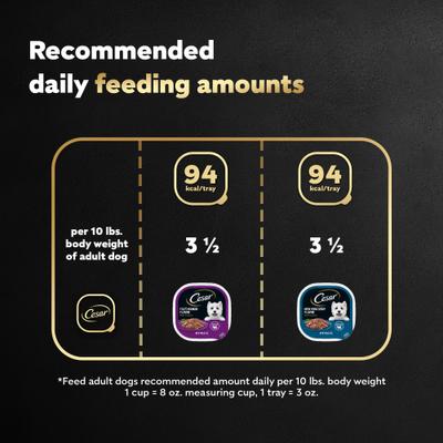 Show full view: Cesar Filets in Gravy Beef Variety Pack Small Breed Adult Wet Dog Food Trays, 3.5-oz, case of 12 slide 8 of 11