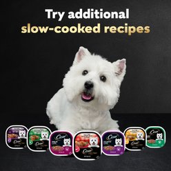 Cesar Loaf & Topper in Sauce Angus Beef Flavor with Bacon & Cheese Grain-Free Small Breed Adult Wet Dog Food Trays, 3.5-oz, case of 24 slide 2 of 9