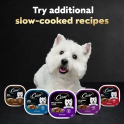Cesar Classic Loaf in Sauce Smoked Bacon & Egg Flavor Grain-Free Small Breed Adult Wet Dog Food Trays, 3.5-oz, case of 24 slide 2 of 9