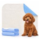 Green Lifestyle Reusable Dog Pee Pads, 48 x 48-in, 2 count