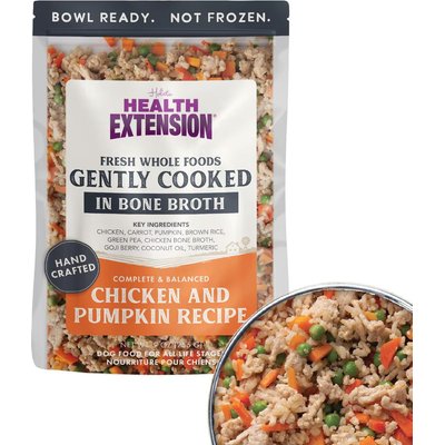 Health Extension Health Extension Gently Cooked Chicken & Pumpkin Recipe Wet Dog Food, 9-oz pouch, 10 count