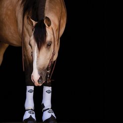Professional's Choice Ballistic Overreach Horse Boots, White, Medium, 2 count slide 2 of 6