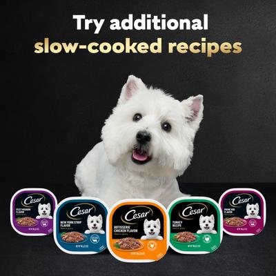Show full view: Cesar Filets in Gravy Beef Flavors Variety Pack Small Breed Adult Wet Dog Food, 3.5-oz tray, case of 24 slide 10 of 11