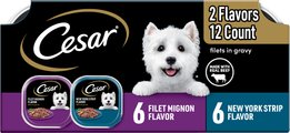 Cesar Filets in Gravy Beef Variety Pack Small Breed Adult Wet Dog Food Trays, 3.5-oz, case of 12