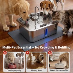 Deftpet Stainless Steel Dog & Cat Water Fountain, Silver, 4-gal/15.14-L slide 2 of 9