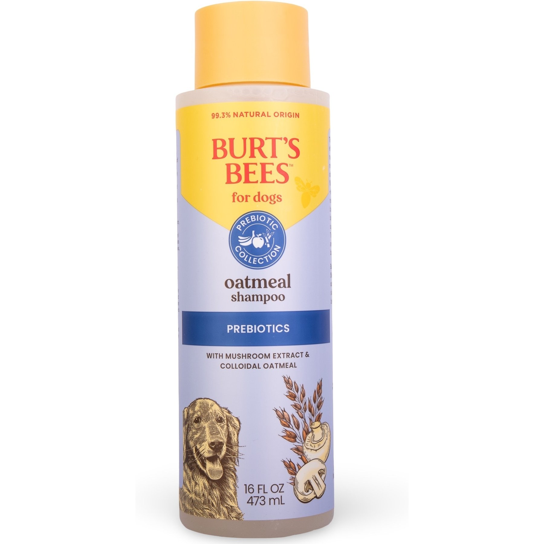 Burt's Bees Prebiotic & Mushroom Oatmeal Dog Shampoo, 16-fl oz bottle