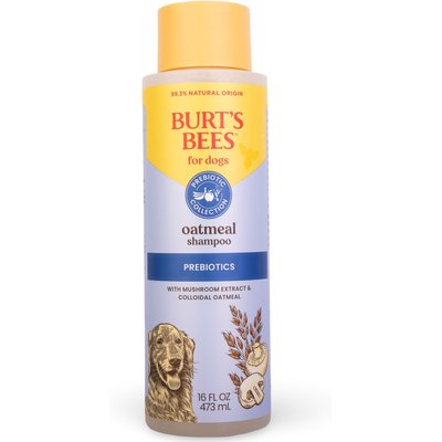 Burt's Bees Burt's Bees Prebiotic & Mushroom Oatmeal Dog Shampoo, 16-fl oz bottle