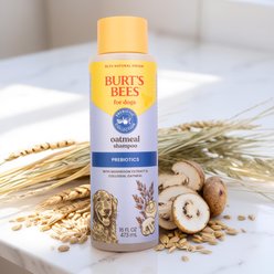Burt's Bees Prebiotic & Mushroom Oatmeal Dog Shampoo, 16-fl oz bottle slide 2 of 4