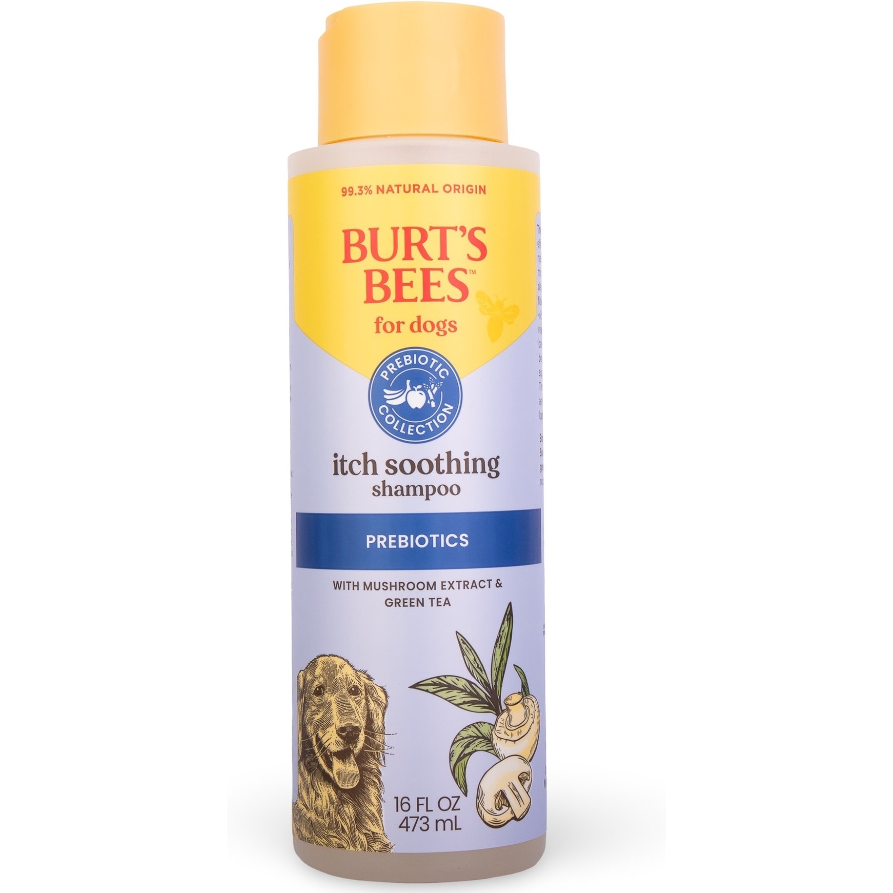 Burt's Bees Prebiotic & Mushroom Itch Soothing Dog Shampoo, 16-fl oz bottle