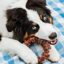 Nylabone Power Chew Textured Dog Chew Ring Toy Flavor Medley, X-Large slide 2 of 8