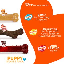 Nylabone Puppy Chew Stages Triple Pack Chewy Toys Puppy Stages Triple Pack, Medium, 3 count slide 2 of 8