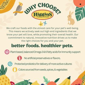 Higgins inTune Complete & Balanced Diet Grain-Free Ferret Food, 4-lb bag