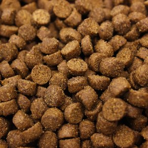 Higgins inTune Complete & Balanced Diet Grain-Free Ferret Food, 4-lb bag