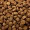Show in main carousel: Higgins inTune Complete & Balanced Diet Grain-Free Ferret Food, 4-lb bag slide 2 of 5