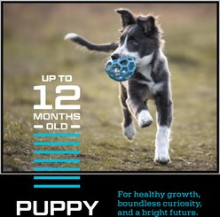 Kinetic Performance Dog Food Puppy Formula High-Protein Chicken Dry Dog Food, 35-lb bag slide 2 of 8