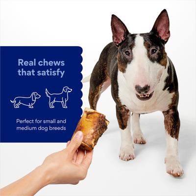 Show full view: Chewy Made Roasted Marrow Bone 3" Dog Treat (FORMERLY BONES & CHEWS), 1 count slide 3 of 9