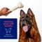 Show in main carousel: Chewy Made 10-11" Rawhide Bone Stick Dog Chews (FORMERLY BONES & CHEWS), 1 count slide 3 of 8