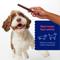 Show in main carousel: Chewy Made Beef Gullet Stick 5-6" Dog Treats (FORMERLY BONES & CHEWS), 50 count slide 4 of 10
