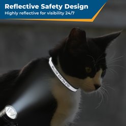 GoTags Personalized Engraved Reflective Nylon Breakaway Cat ID Collar with Bell, Sky Blue, 8 to 12-in neck, 1/2-in wide slide 2 of 7