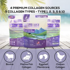 Brightway Pets Multi Collagen Skin & Mobility Powder Supplement Food Topper for Dogs, 10-oz bag slide 2 of 6