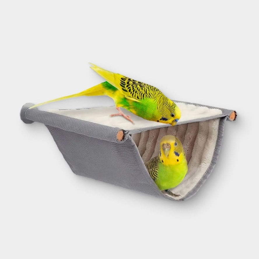 Bird Supplies & Accessories | Chewy