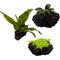 Show in main carousel: Quinn's Fins Anubias Java Fern & Baby Tears on Lava Rock Submerged Live Plant, Green, 3 count slide 1 of 1