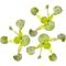 Show in main carousel: Quinn's Fins Water Hyacinth Floating Live Pond & Aquarium Plant, Green, 3 count slide 1 of 1