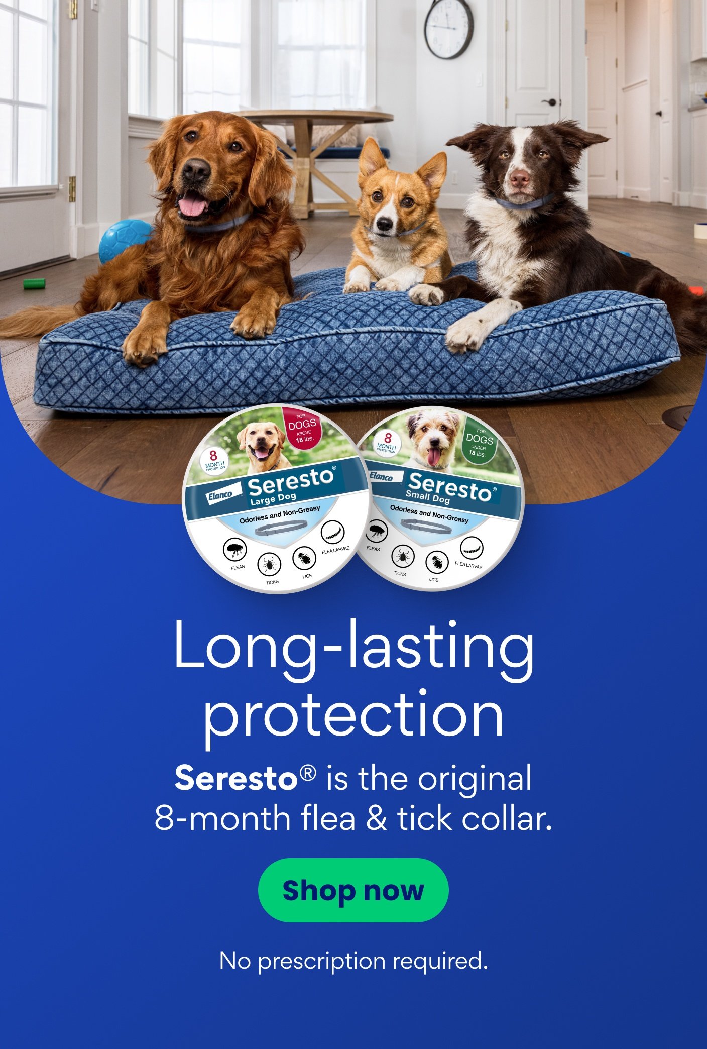 Long-lasting protection. Seresto is the original 8-month flea & tick collar. Shop now. No prescription required.