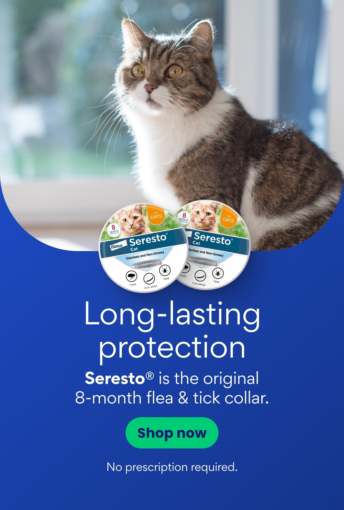 Long-lasting protection Seresto is the original 8-month flea & tick collar. Shop now. No prescriptions required.