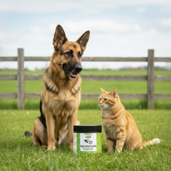 Healthy Dogma Daily Essentials Liver Flavored Powder Multivitamin Supplement for Dogs, 6-oz jar slide 2 of 5