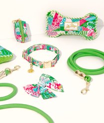 Lilly Pulitzer Crazy Quilt Home Nylon Dog Leash, 5-ft long, 1/2-in wide slide 2 of 3