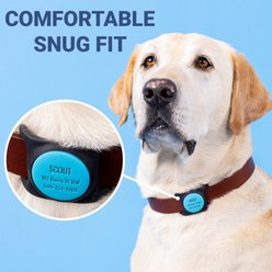 GoTags Engraved AirTag Dog & Cat Collar Holder, Beach Glass, Small slide 2 of 7
