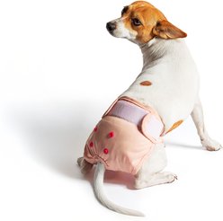 Rocket & Rex Reusable Leakproof Dog Diapers, Small, 3 count slide 2 of 8