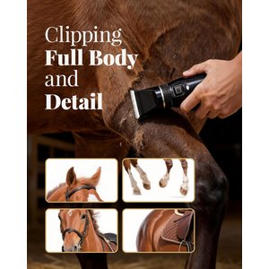 Fido Fave Cordless Powerful 7.4V Motor Horse Grooming Clipper, Black