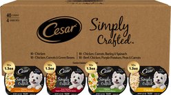Cesar Simply Crafted Multipack Adult Chicken & Beef Recipes Shredded Wet Dog Food, 1.3-oz tray, pack of 40