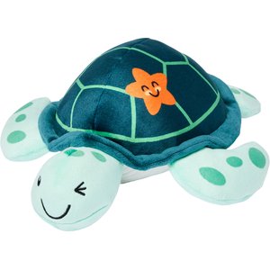 Frisco Coastal Turtle Plush Squeaky Dog Toy, Medium/Large