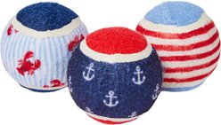 Frisco Coastal Squeaky Tennis Ball Dog Toy, Medium, 3 count