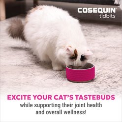 Nutramax Cosequin Tidbits 4-in-1 Joint & Dental Health Immune Support Skin & Coat Health with Glucosamine, Chondroitin & Omega3s Supplement for Cats, 60-g slide 2 of 9