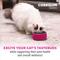 Show in main carousel: Nutramax Cosequin Tidbits 4-in-1 Joint & Dental Health Immune Support Skin & Coat Health with Glucosamine, Chondroitin & Omega3s Supplement for Cats, 60-g slide 3 of 12