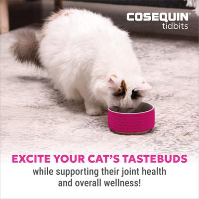 Show full view: Nutramax Cosequin Tidbits 4-in-1 Joint & Dental Health Immune Support Skin & Coat Health with Glucosamine, Chondroitin & Omega3s Supplement for Cats, 60-g slide 3 of 12