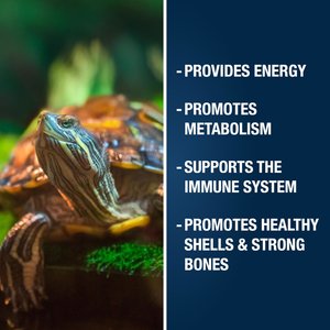 Tetra ReptoTreat Food Sticks with Krill Meal Turtle, Newt & Frog Treats, 2.18-oz jar