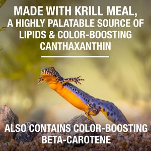 Tetra ReptoTreat Food Sticks with Krill Meal Turtle, Newt & Frog Treats, 2.18-oz jar