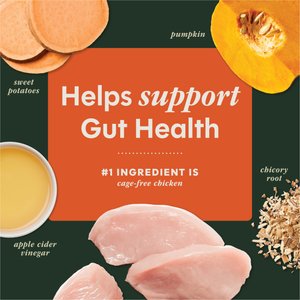 Instinct RawBoost Mixers Gut Health Recipe Grain-Free Freeze-Dried Dog Food Topper, 5.5-oz bag